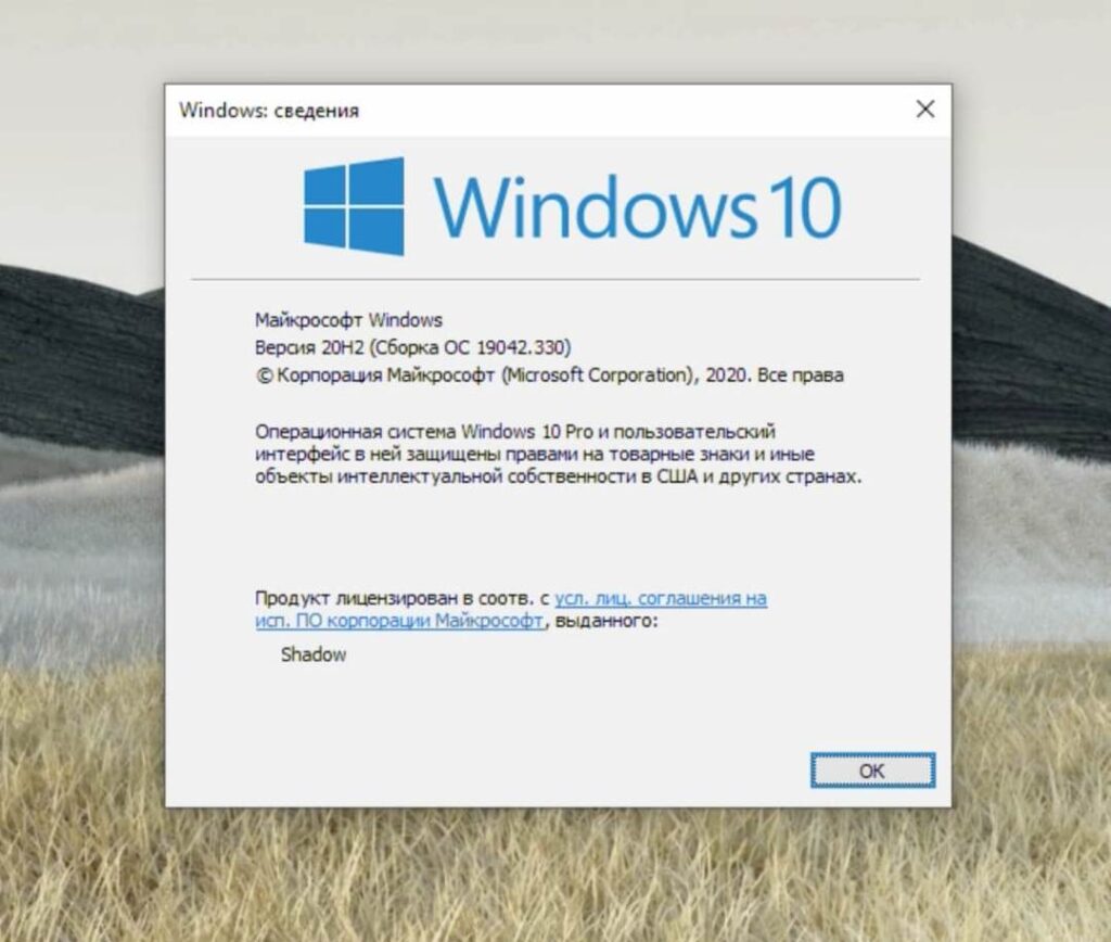 Windows 10 20h2 проблемы с сетью